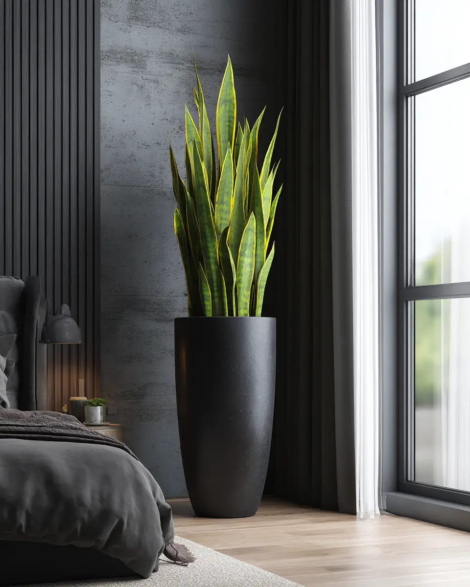 Black Contemporary Bedroom Decor Ideas