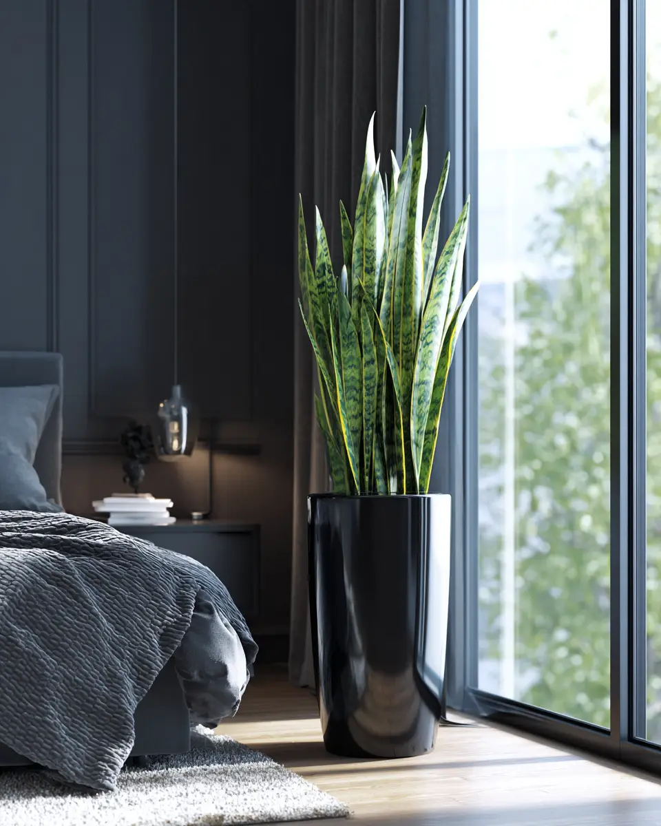 Black Contemporary Bedroom Decor Ideas