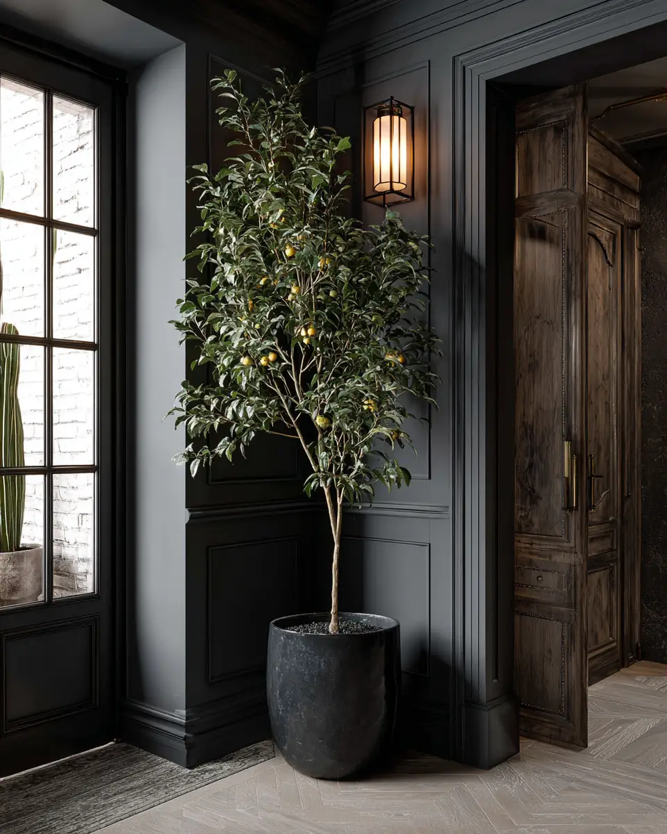 Black Traditional Entryway Decor Ideas