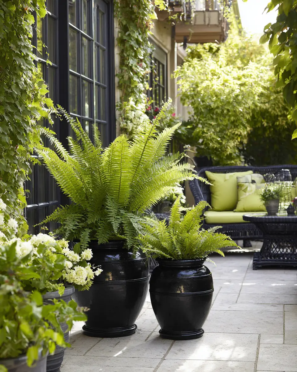 Black Traditional Patio Decor Ideas