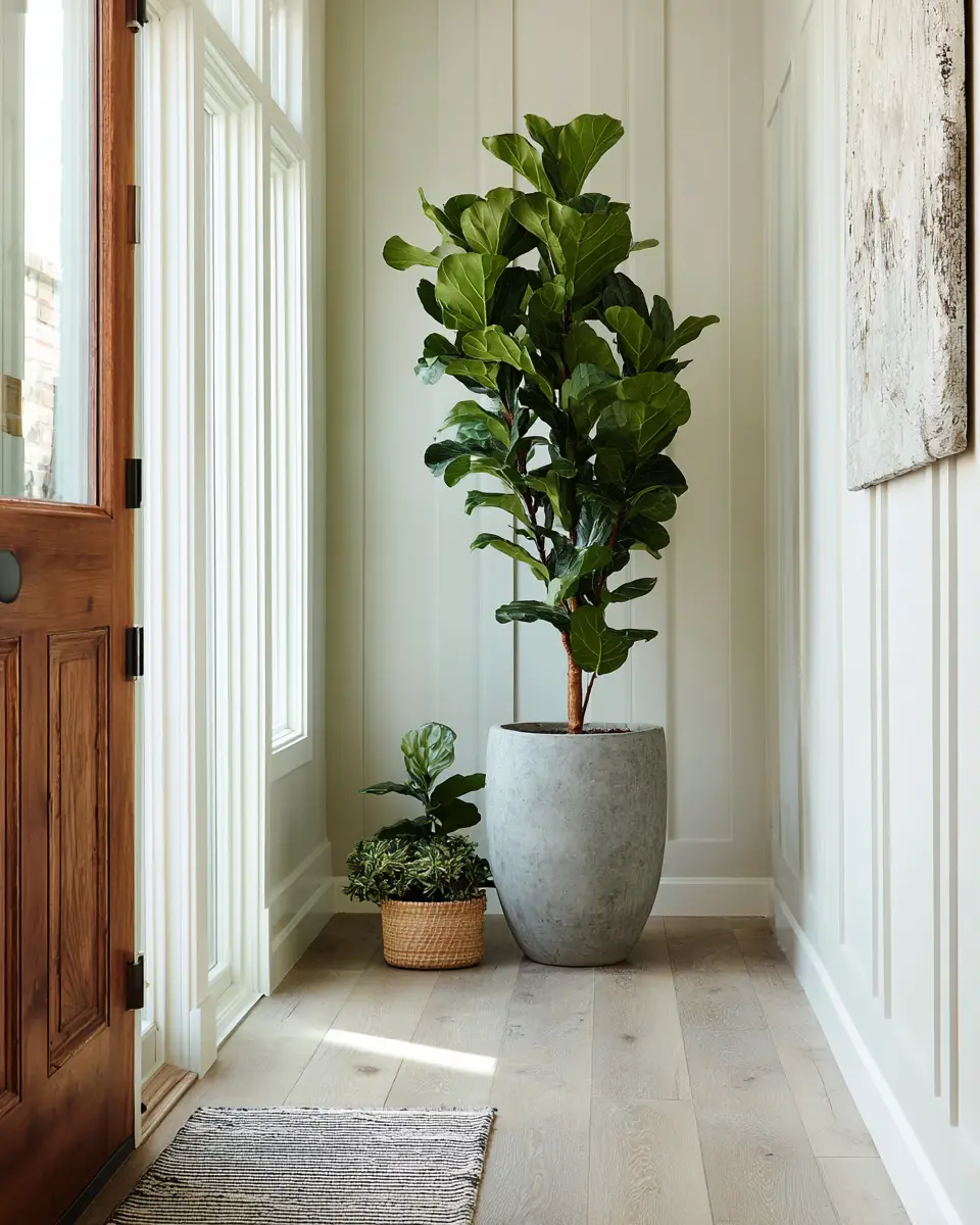 Serene Contemporary Entryway Decor Ideas