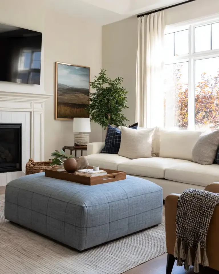 Warm Transitional Living Room Decor Ideas - Featured