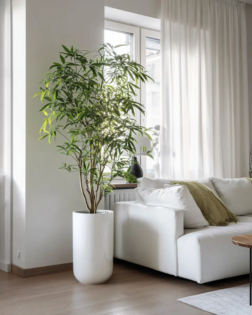 White Minimalist Living Room Decor Ideas